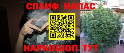 индика Керчь