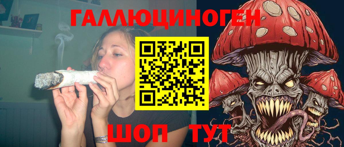 Псилоцибиновые грибы Psilocybe  Вход с VPN  Большой Камень  Псилоцибиновые грибы Magic Shrooms 